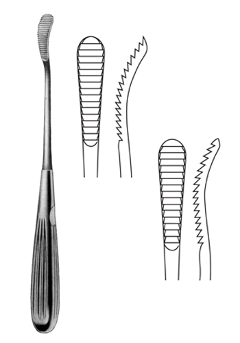 DS-SIBR1