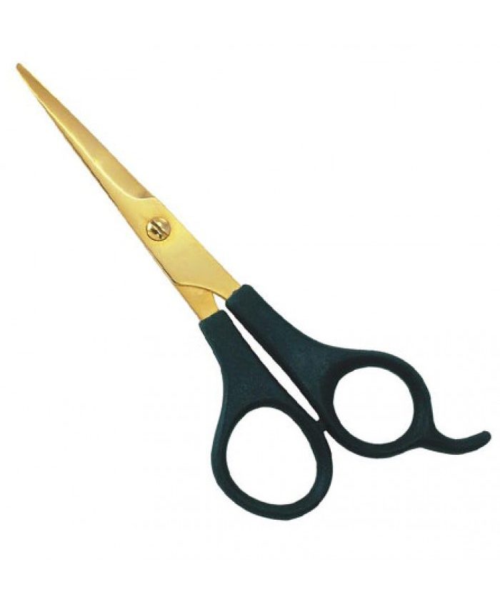 DS-BIPHS1