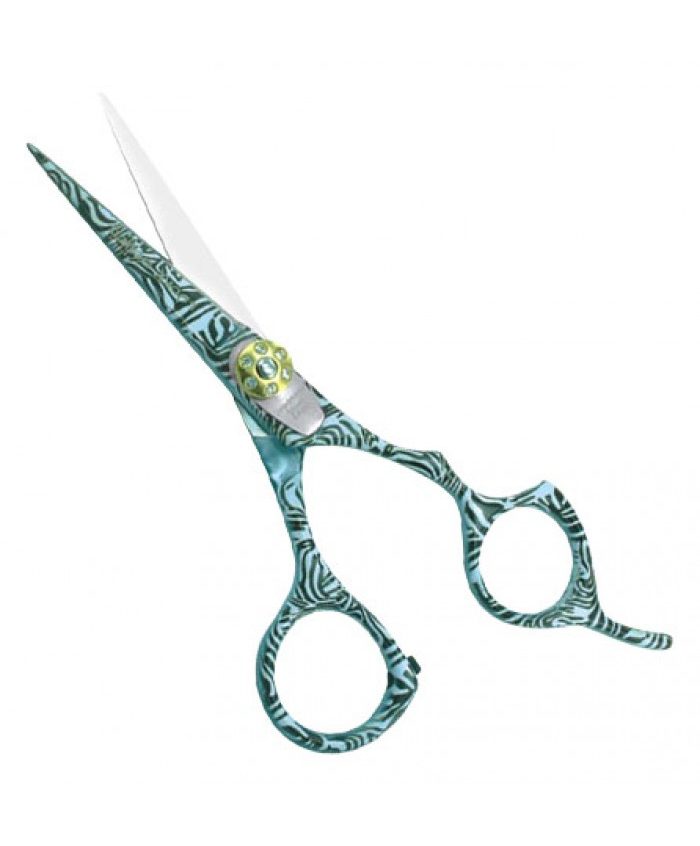DS-BICCS7