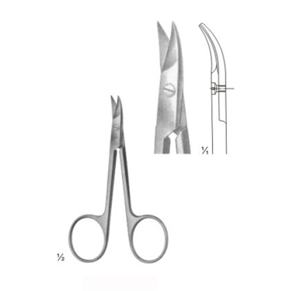 DS-SIWPS11