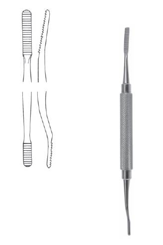 DS-SIBR2