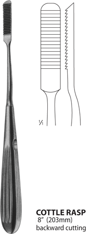 DS-SIBR3